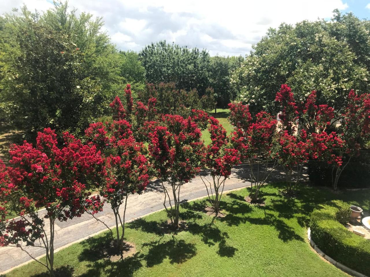 The Plantation House Boutique Inn Pflugerville Extérieur photo